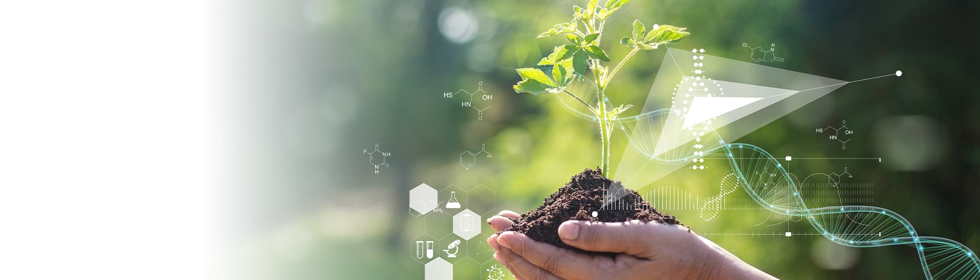 DEP-Environmental-Health-Sciences