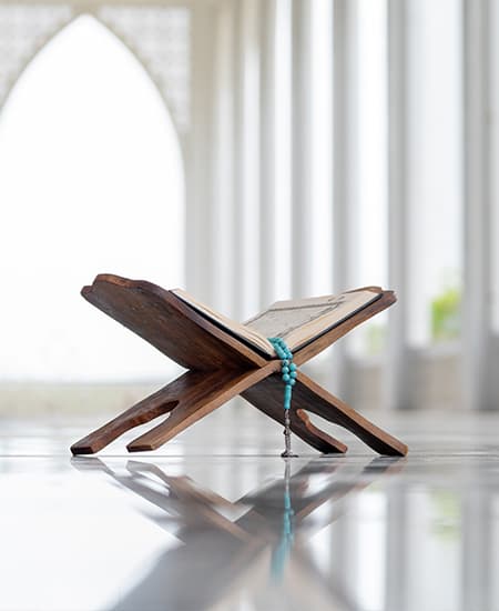 DEP-Jurisprudence-and-its-Foundations-MOB